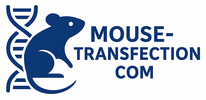 Mouse Transfection